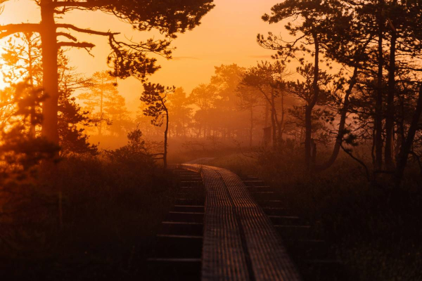 Instead of Fear: What God Gives When You Let Go of Fear